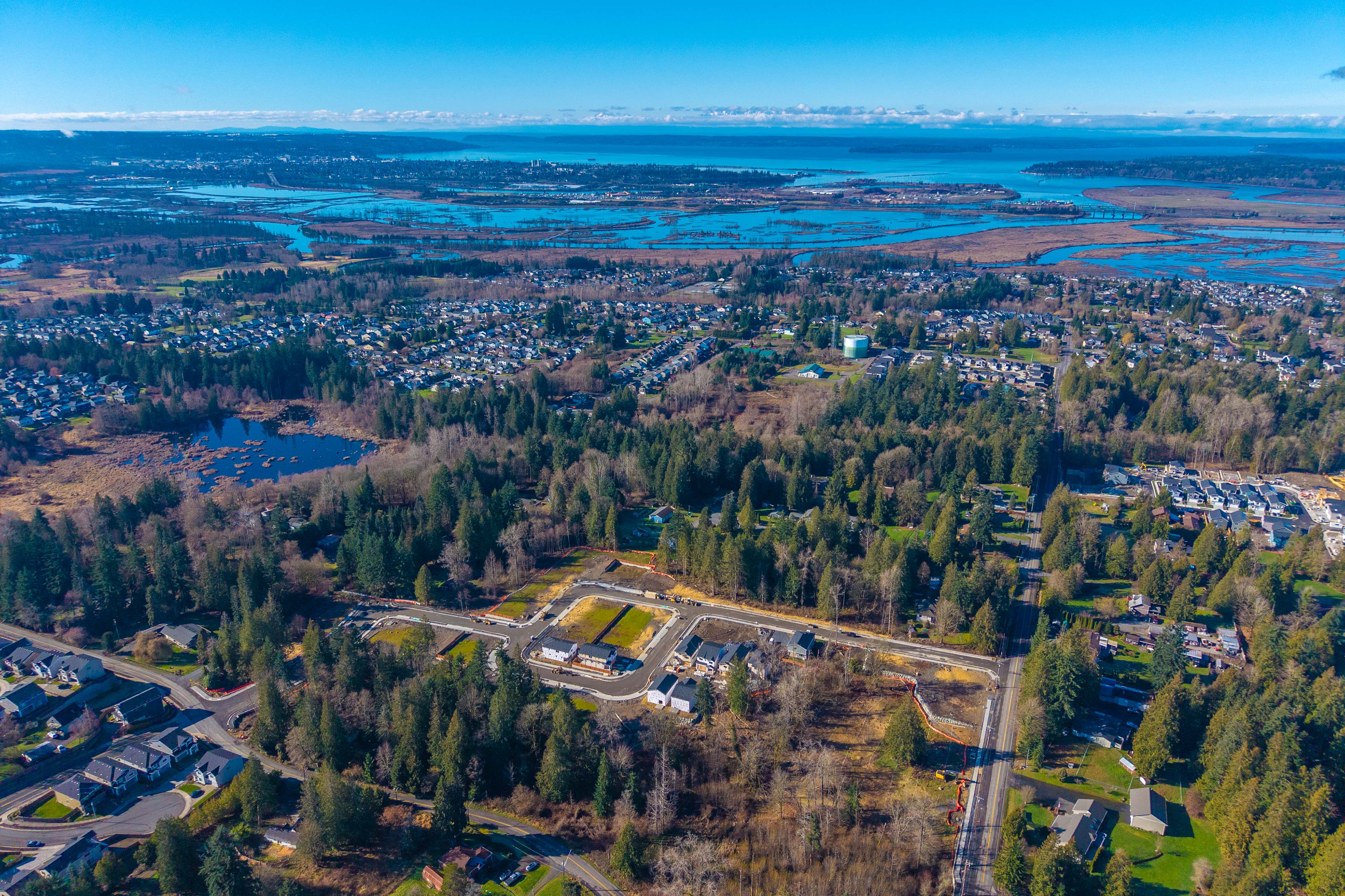 A landscape with trees and a body of water in the background.